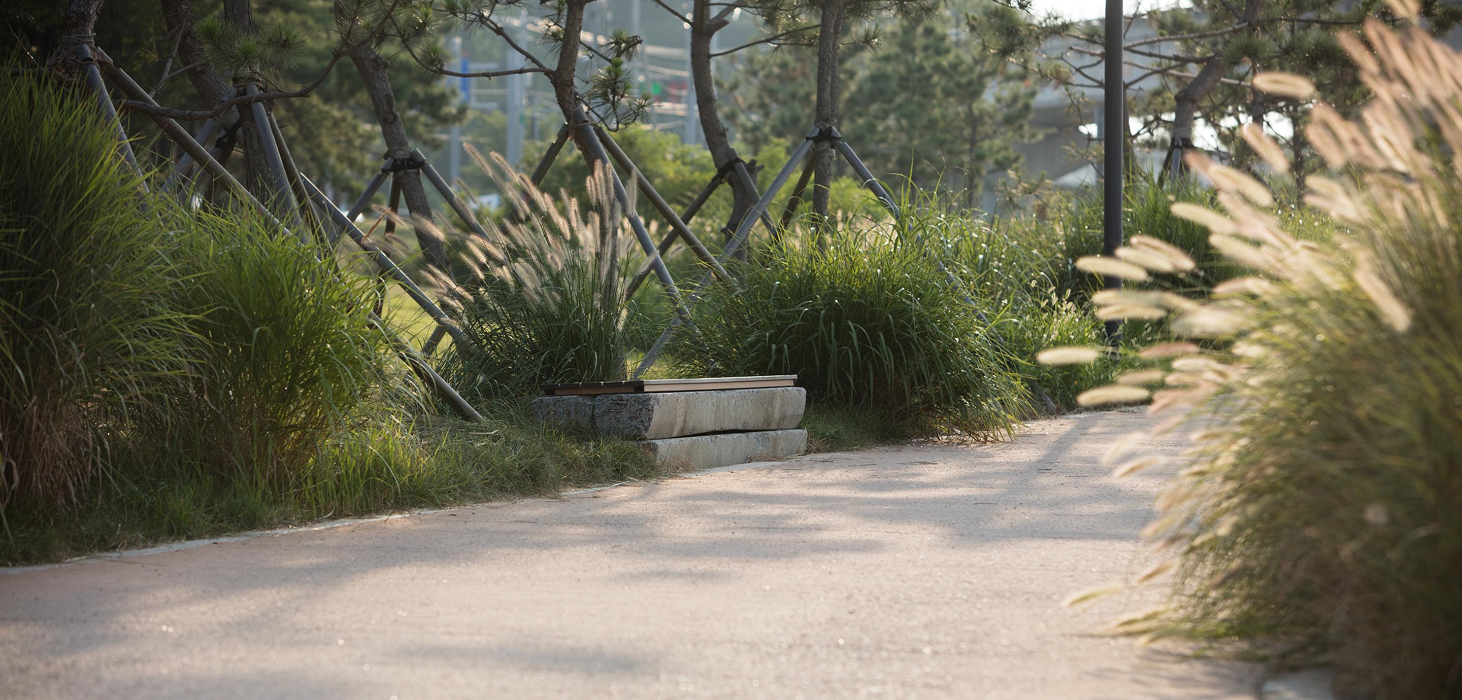 Nest Hotel Incheon Ngoại thất bức ảnh A bench in the park
