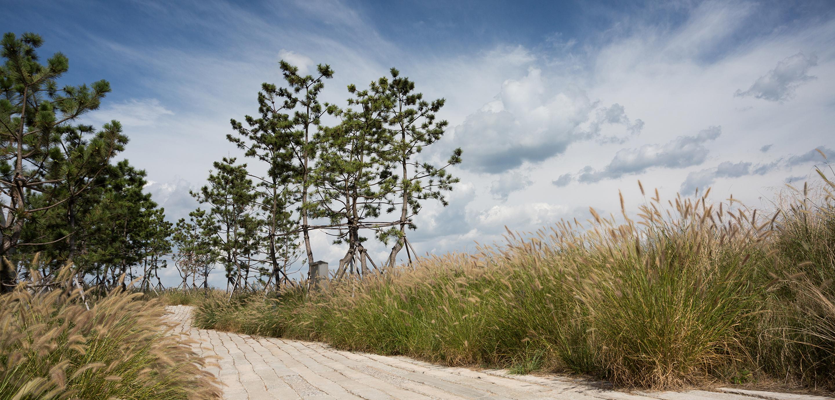 Nest Hotel Incheon Ngoại thất bức ảnh A view of the park