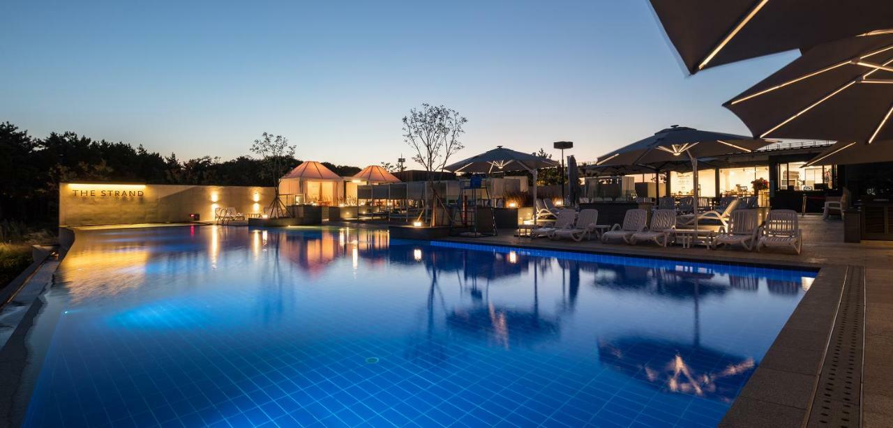 Nest Hotel Incheon Ngoại thất bức ảnh The swimming pool at the hotel